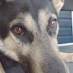 Meet your Posher, Emmanuel